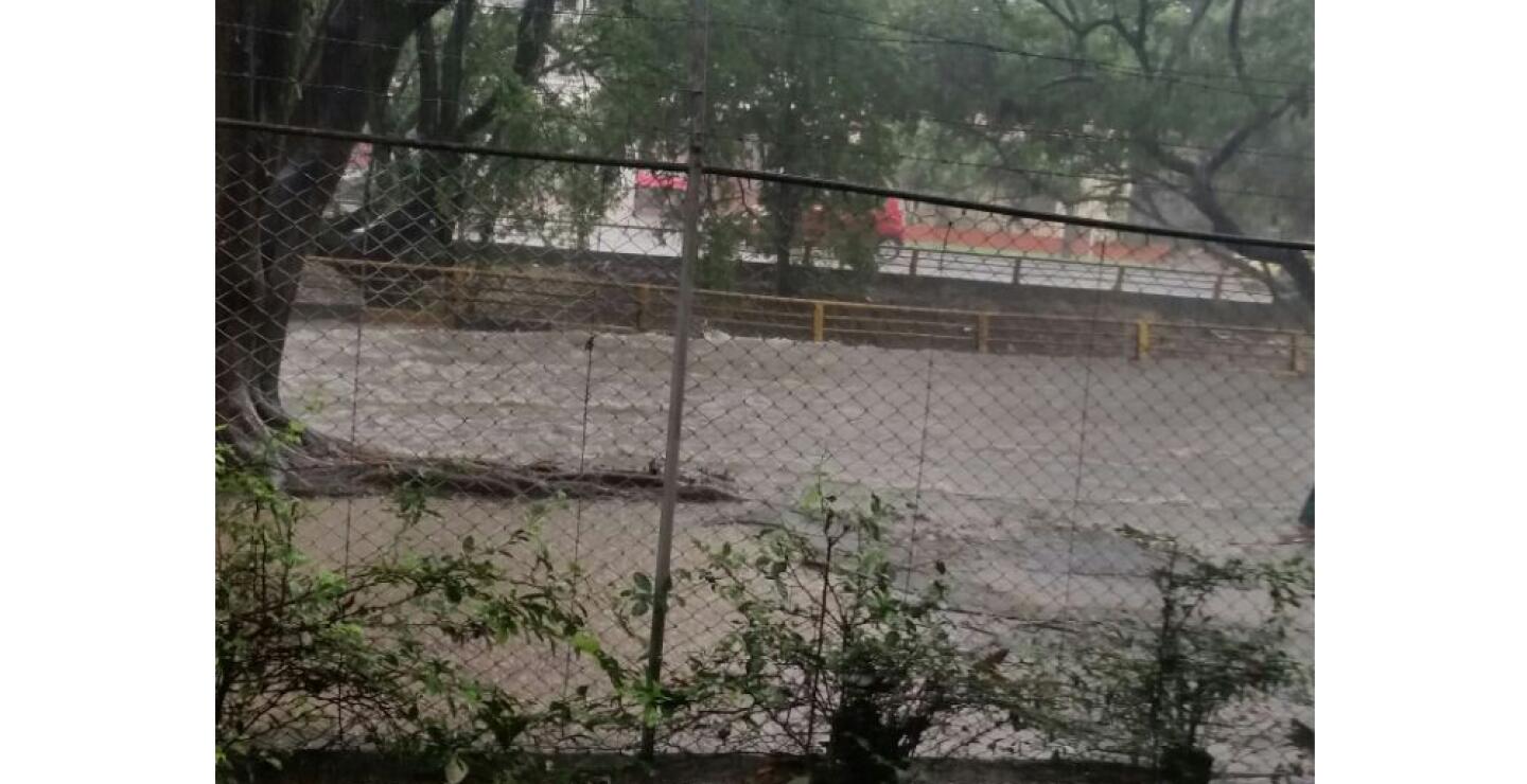 274194_Foto: Cortesía.