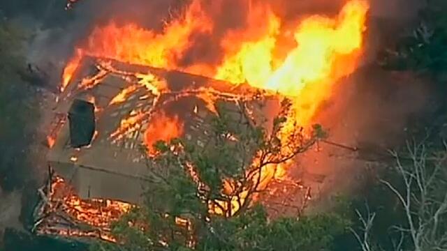 Catástrofe en Australia por incendios que han arrasado 6 mil hectáreas de bosque  