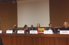 273549_Carlos Santiago durante el encuentro con miembros de Naciones Unidas. Foto: Facebook CIVICUS: World Alliance for Citizen Participation.