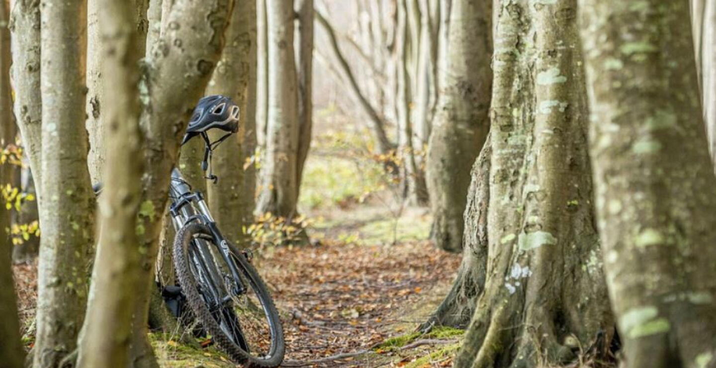 bicicleta robo