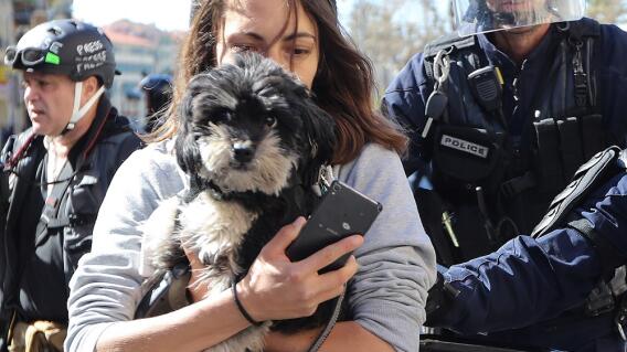 330576_Blu Radio // Emergencia mascotas // Foto: AFP