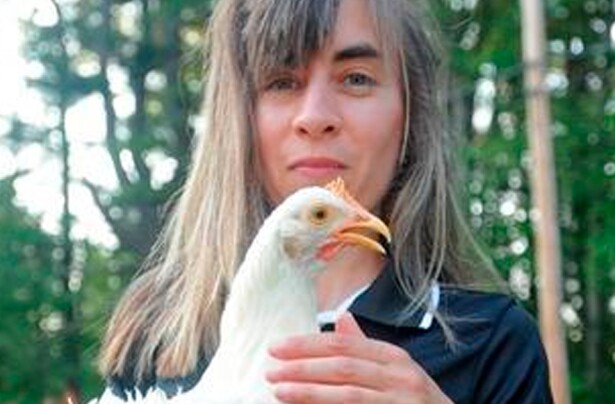 gallina.jpg