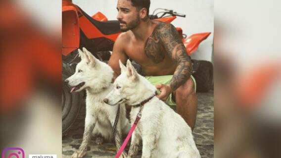 maluma_33.jpg