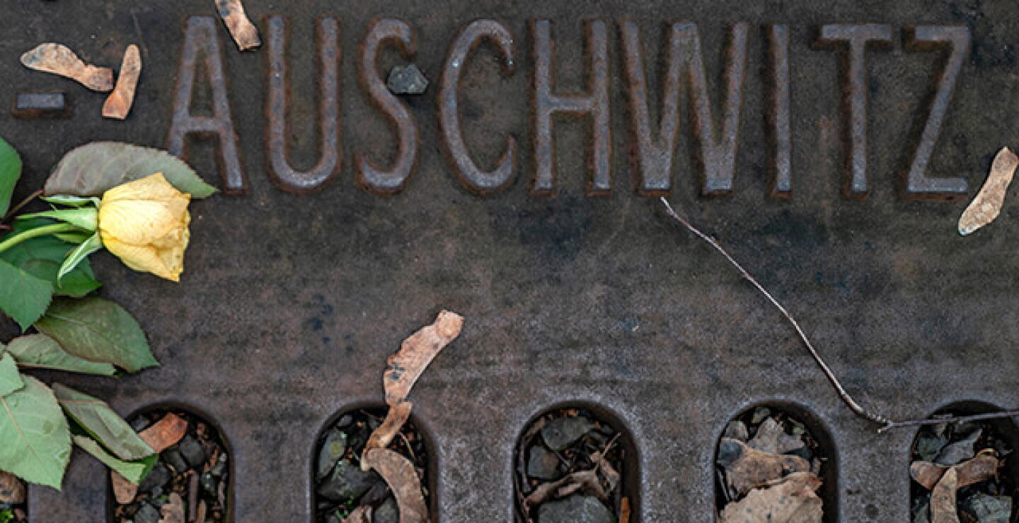 auschwitz_0.jpg