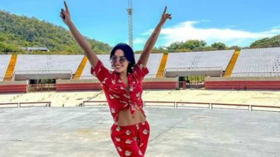 Ana del Castillo, cantante vallenata 