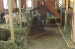 276677_Foto: Captura video