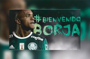 278226_Foto: palmeiras.com.br