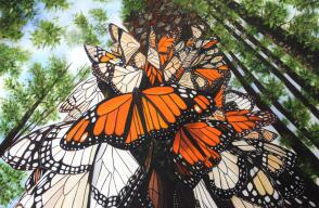 La obra está compuesta por 28 óleos, se enmarcan dentro del colorido mundo de las mariposas, lleno de movimiento y sensaciones de libertad.