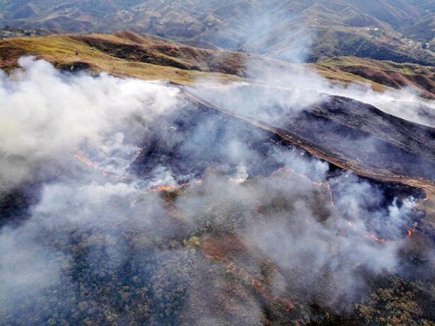 incendio-forestal_0.jpg