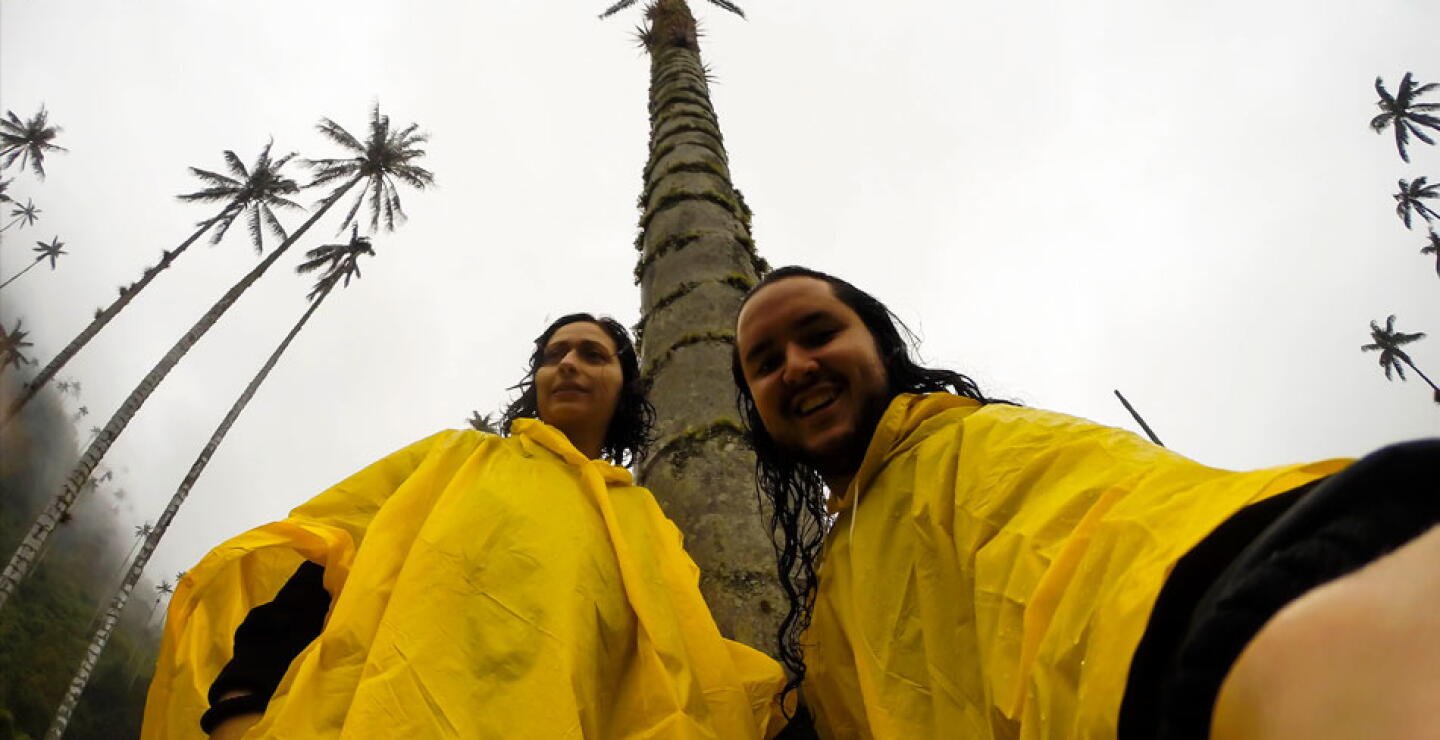 Valle del Cocora, Colombia.