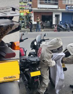 Abejas en motocicleta de Barbosa.JPG