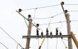 361123_cables-de-cobre-afp
