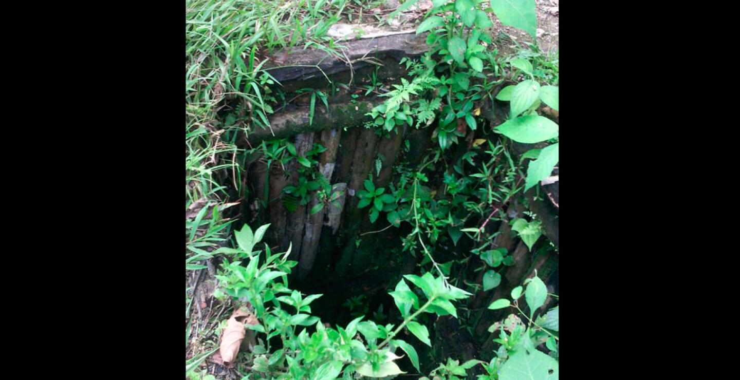 263409_Foto: Fiscalía.