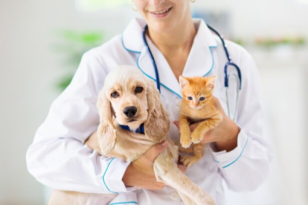 Mascotas veterinaria