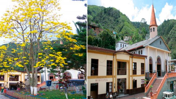 290115briseno.jpg