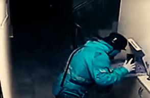 375585_repartidor_de_pizza_1.png