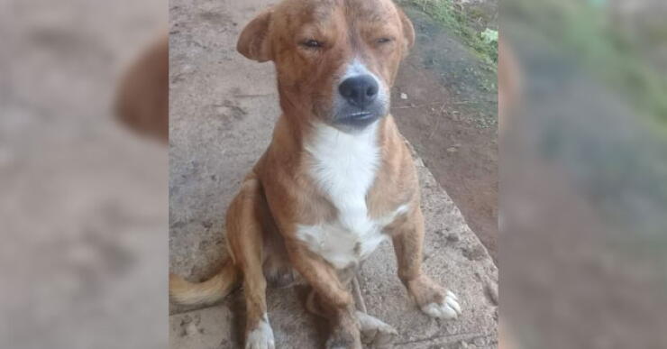 mataron-a-pati.jpg