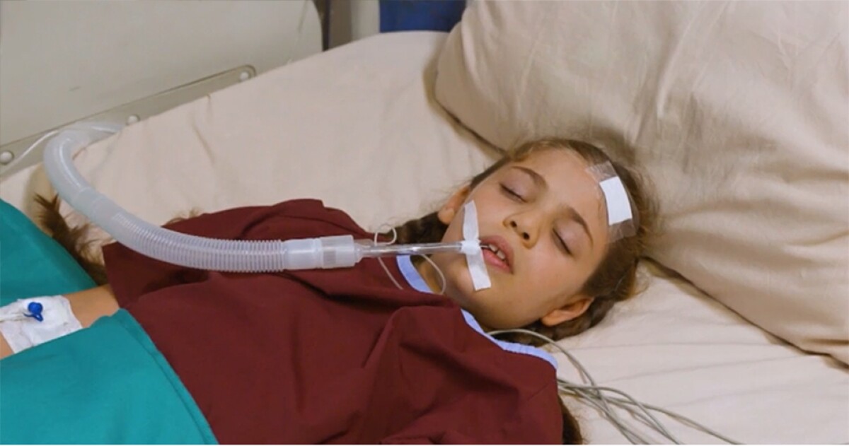 295517_elif970.jpg