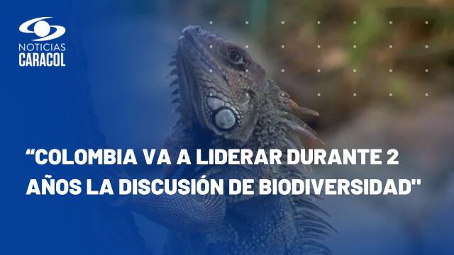 ¿Por qué la COP16, que se realizará en Cali, es tan importante? ¿Por qué la COP16, que se realizará en Cali, es tan importante?