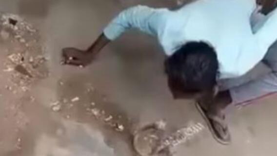 20237_Hombre besa a una serpiente en la boca / Foto: captura de video 20237_Hombre besa a una serpiente en la boca / Foto: captura de video