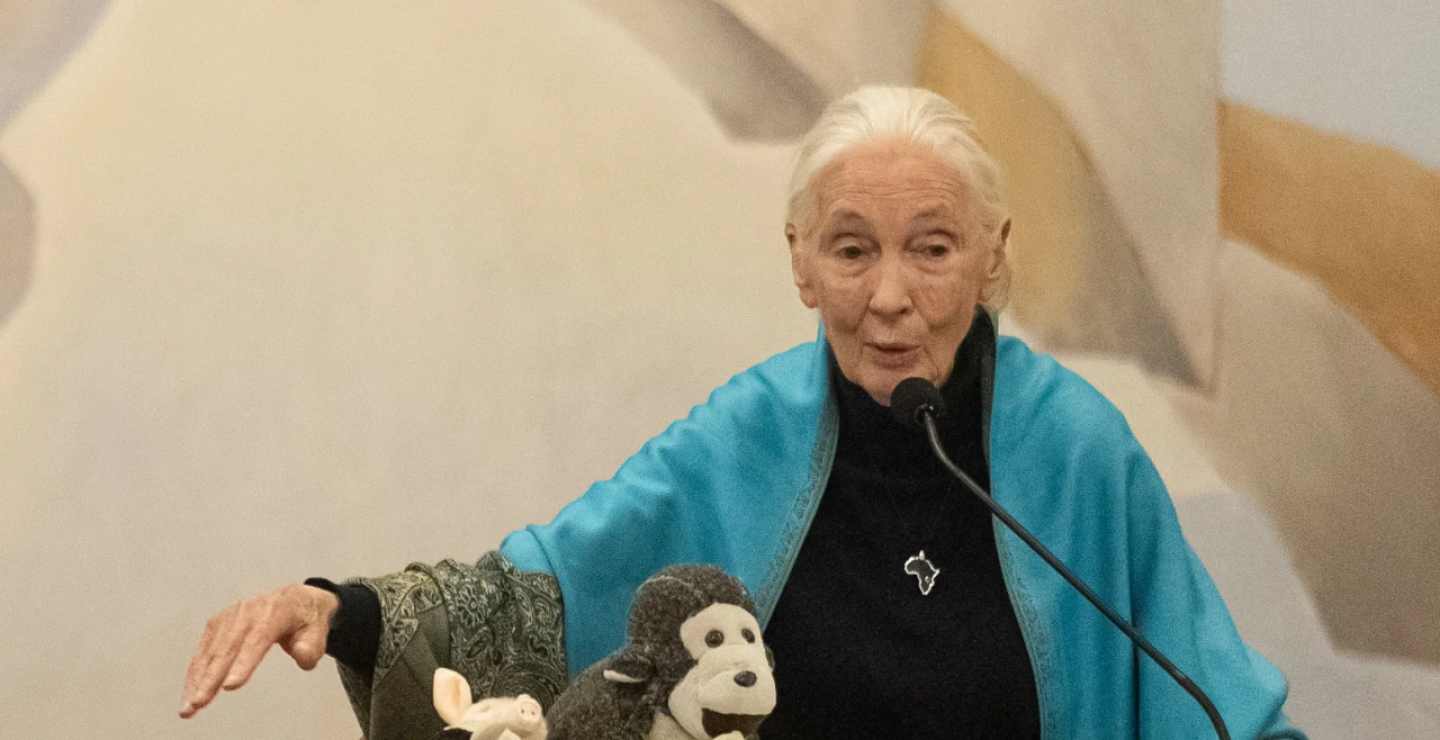 Jane Goodall