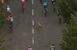 Giro de Italia 