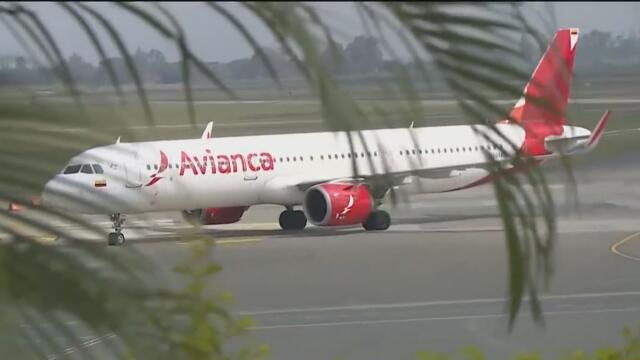 Polizones hallados muertos en avión de Avianca eran jóvenes que no tenían más de 20 años Polizones hallados muertos en avión de Avianca eran jóvenes que no tenían más de 20 años