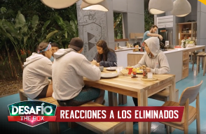 Reacciones a los eliminados de Alpha - Desafío The Box