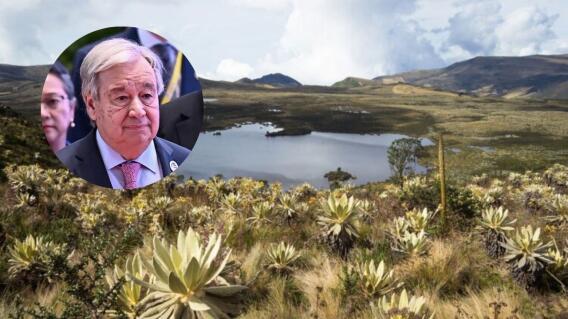 COP16 secretario COP16 secretario