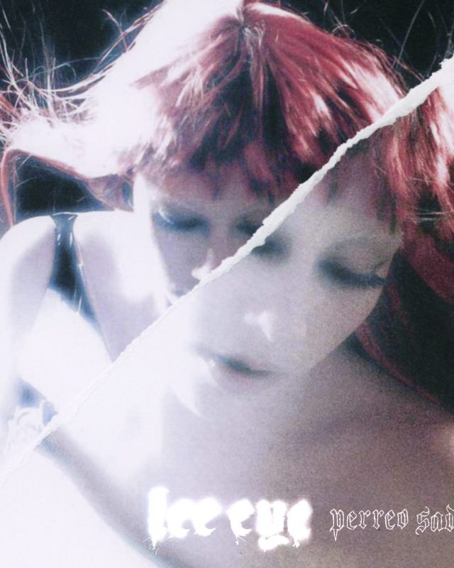 perreo-sad-lee-eye,jpg