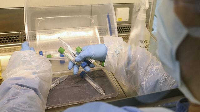 Experto dice que EE. UU. no tiene plan ni liderazgo para producir suficientes vacunas de COVID-19 