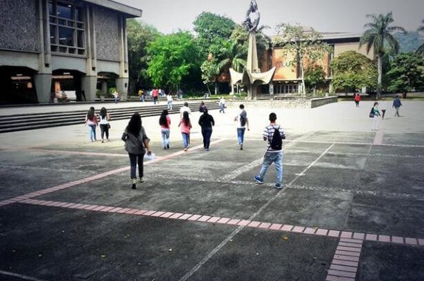 230215_udea_0.jpg