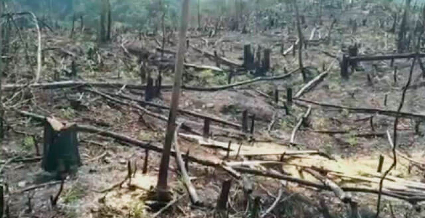 deforestacion-tunja.jpg