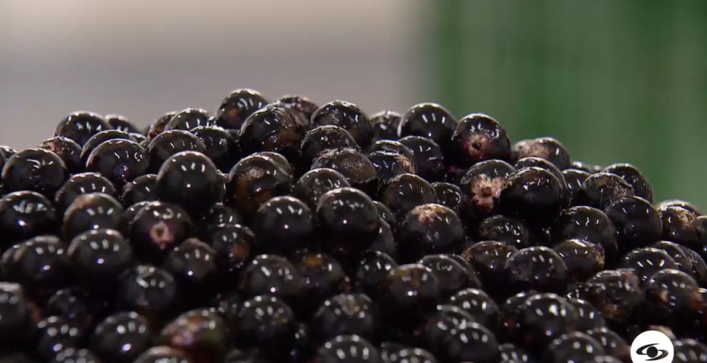 acai.PNG