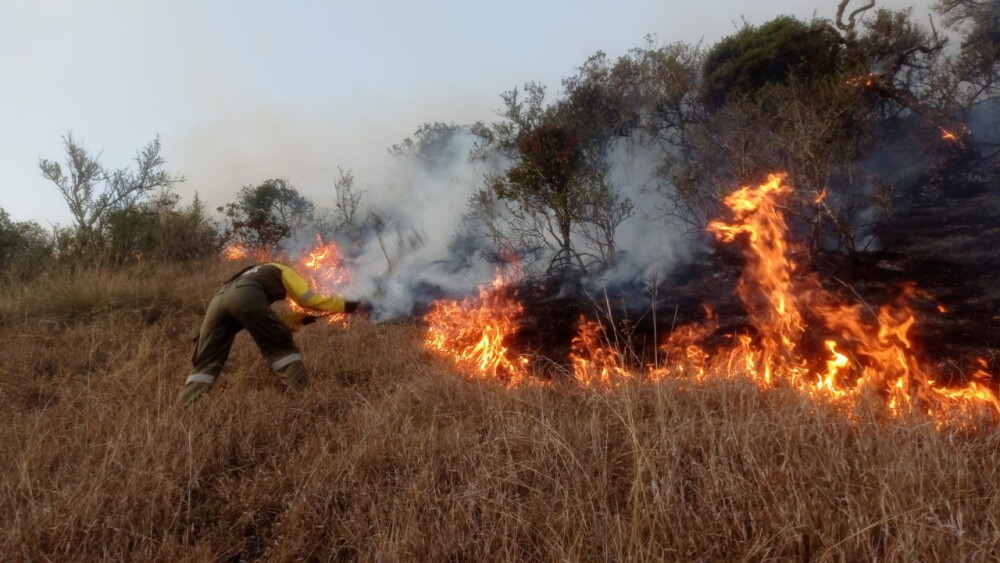 Cundinamarca, Huila y Boyacá; departamentos más afectados por 17 incendios activos en Colombia - BluRadio