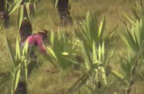640-indigenas-cauca.jpg