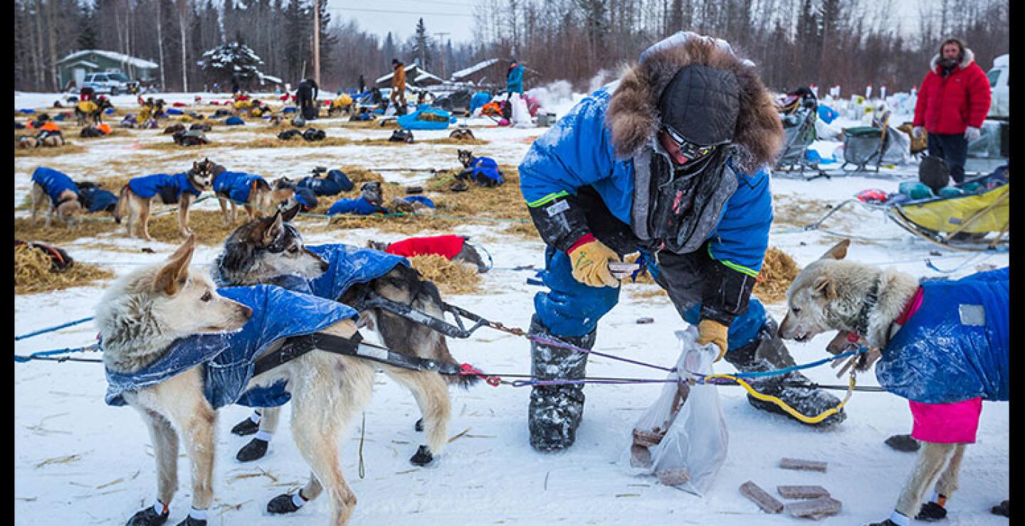 En el recorrido los competidores atraviesan poblaciones septentrionales, hasta bordear el mar de Berinh. 