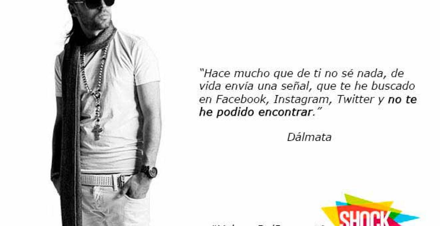 565380_22-dalmata-2.jpg