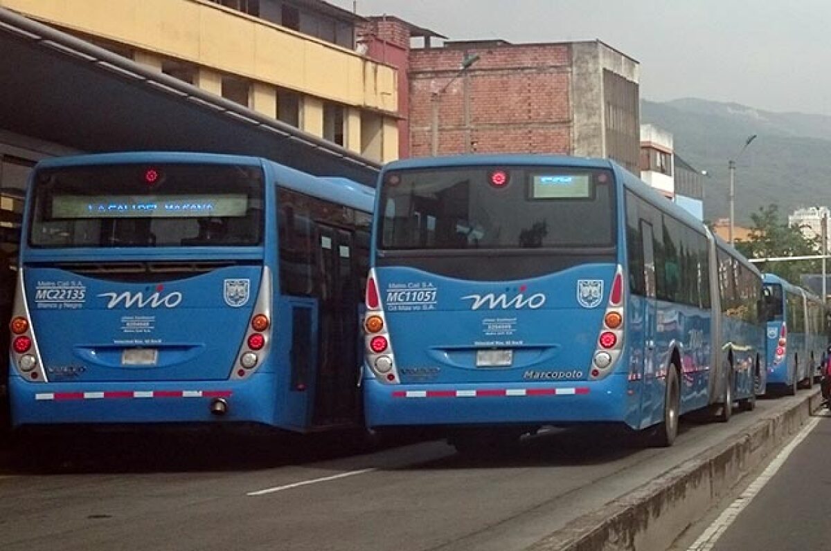 190315-bus-del-mio.jpg