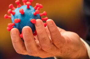 367790_Modelo del coronavirus // Foto: AFP