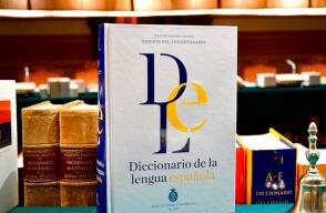 347830_Diccionario // Foto: RAE