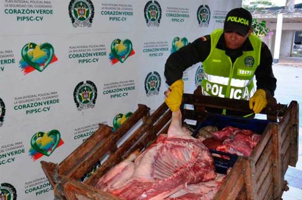 050215carnedecerdo.jpg