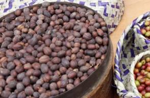 Cae clan que introducía cocaína en fruta, cacao y café desde Colombia a España
