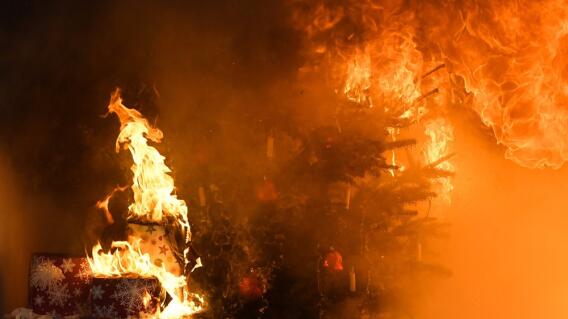 274243_Foto referencia AFP