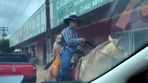 Perrito monta a caballo Perrito monta a caballo