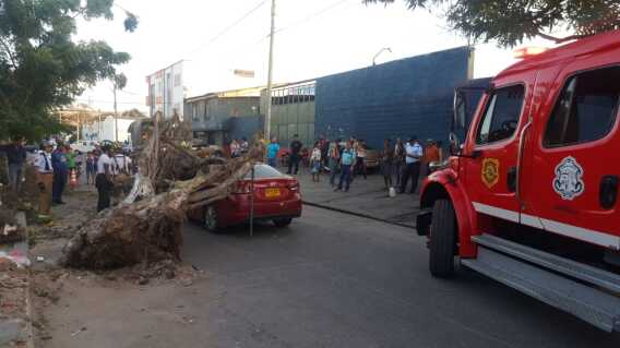 352918_BLU Radio// Fuertes vientos en Barranquilla. Foto: Cortesía 352918_BLU Radio// Fuertes vientos en Barranquilla. Foto: Cortesía