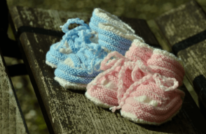 Imagen de referencia