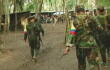 farc_10.jpg