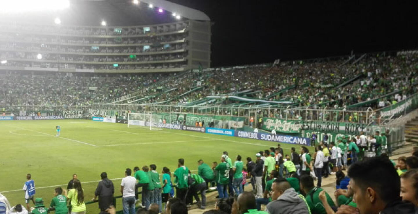 estadio-palmaseca.jpg