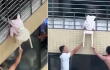 Niña de 3 años quedó colgando de una ventana en un piso 12 en China: así fue el rescate